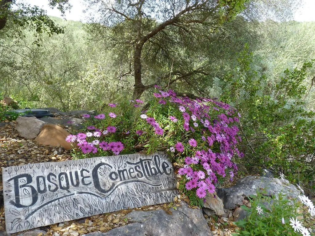 Agroturismo Can Torna Ag178 Esporles